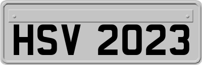 HSV2023