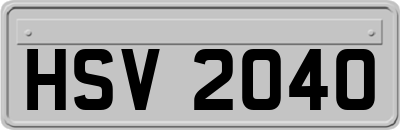 HSV2040