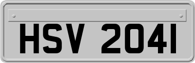 HSV2041