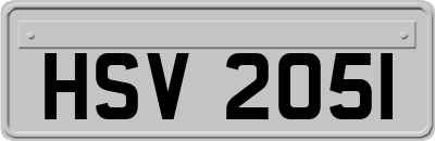 HSV2051