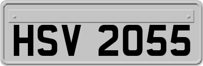 HSV2055