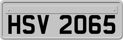 HSV2065