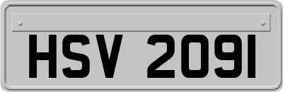 HSV2091