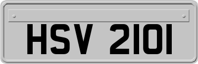 HSV2101