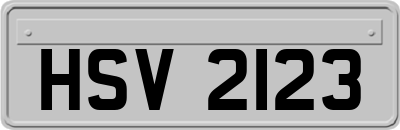 HSV2123
