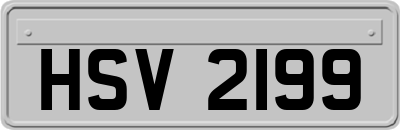 HSV2199