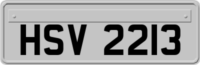 HSV2213
