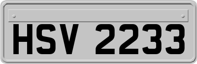 HSV2233
