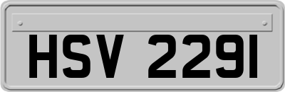 HSV2291