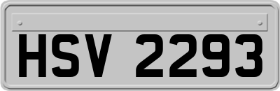 HSV2293