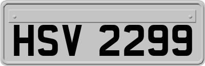 HSV2299