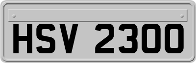HSV2300