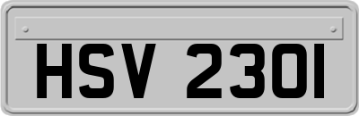 HSV2301