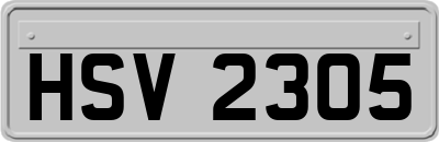 HSV2305