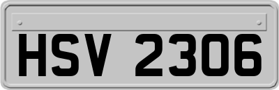 HSV2306