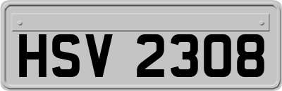 HSV2308