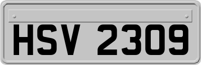 HSV2309