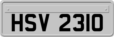 HSV2310