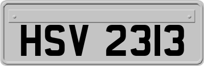 HSV2313