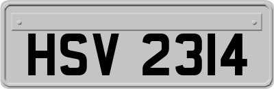 HSV2314