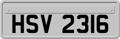 HSV2316