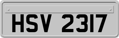 HSV2317
