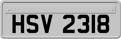 HSV2318