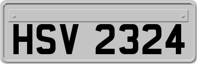 HSV2324