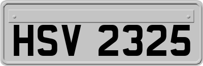 HSV2325