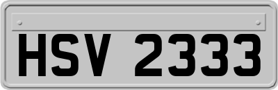 HSV2333