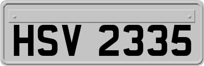 HSV2335