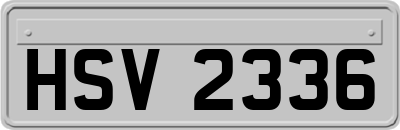 HSV2336