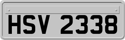 HSV2338