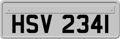 HSV2341