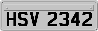 HSV2342