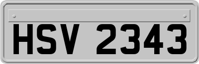 HSV2343