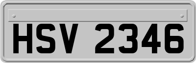HSV2346