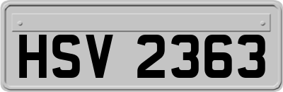 HSV2363