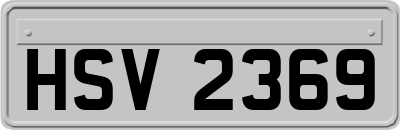 HSV2369