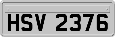 HSV2376