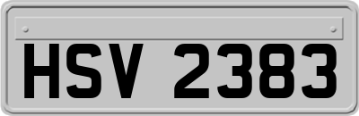 HSV2383