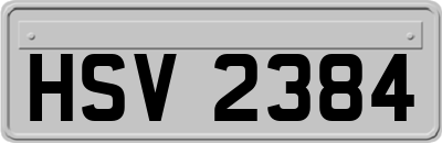 HSV2384