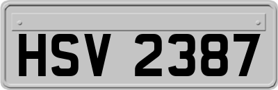 HSV2387