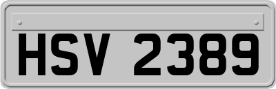 HSV2389
