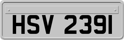 HSV2391
