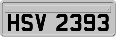 HSV2393