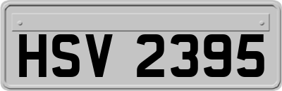 HSV2395