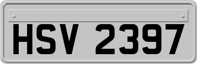 HSV2397
