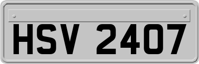 HSV2407