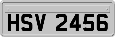 HSV2456